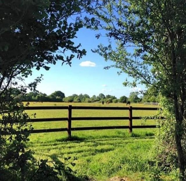 B&B Haras De La Cour Fleury Saint-Michel-de-Livet Εξωτερικό φωτογραφία