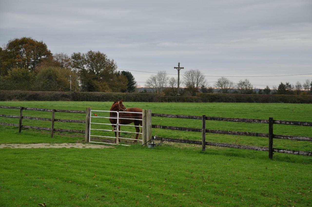 B&B Haras De La Cour Fleury Saint-Michel-de-Livet Εξωτερικό φωτογραφία