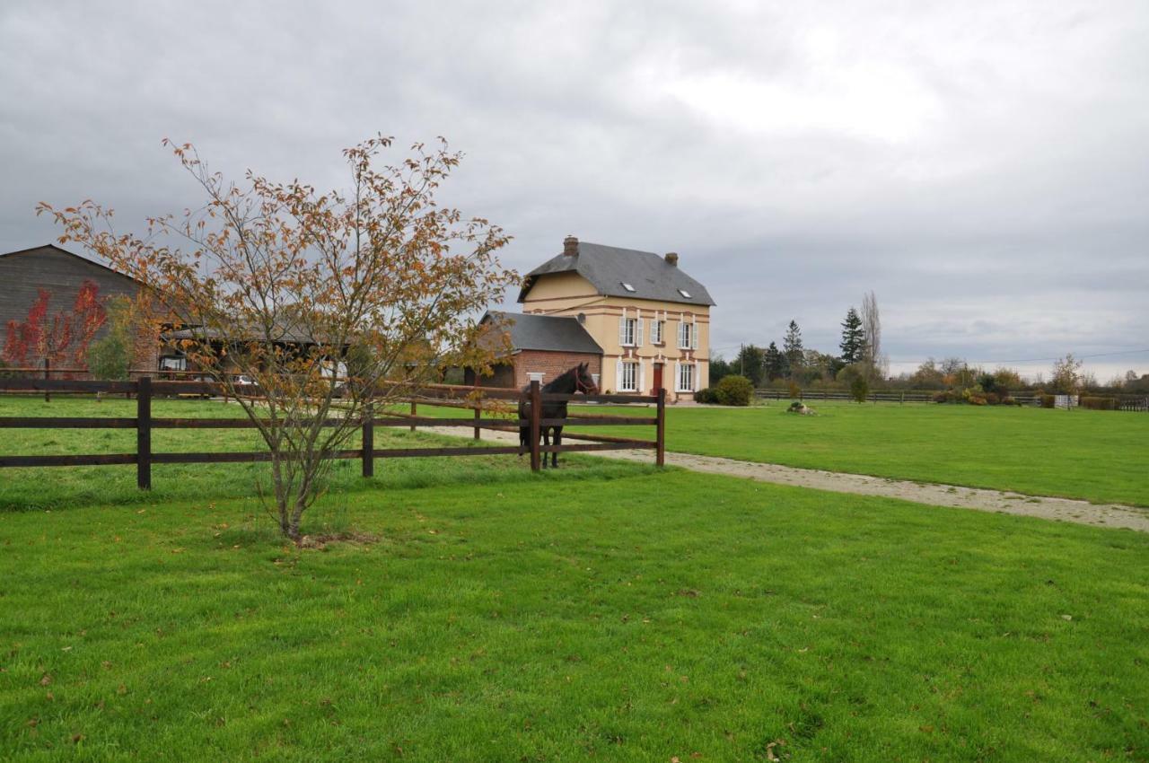B&B Haras De La Cour Fleury Saint-Michel-de-Livet Εξωτερικό φωτογραφία
