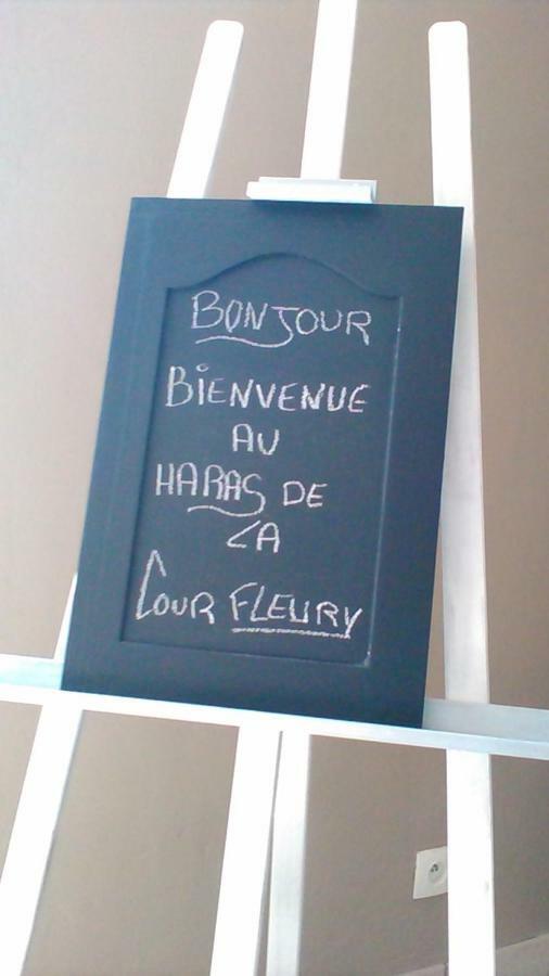 B&B Haras De La Cour Fleury Saint-Michel-de-Livet Εξωτερικό φωτογραφία