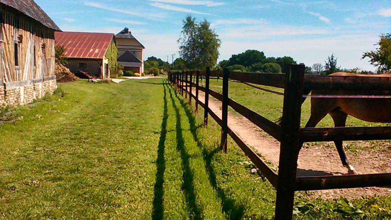 B&B Haras De La Cour Fleury Saint-Michel-de-Livet Εξωτερικό φωτογραφία